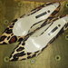 Leopardo margumo bateliai