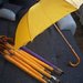 Geltonas, violetinis skėtis/skėčiai