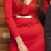 Raudona  ilga suknele
