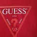 GUESS