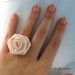 Soft Peach rose žiedukas