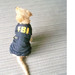 FBI striukytė šuniui