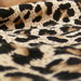 leopardinis sarafaniukas