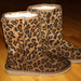 Leopardiniai ugg batai