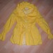 ryškiai geltonas paltukas