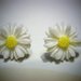 Auskarai baltos gėlytės (ramunės - herberos)