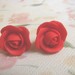 Auskarai- rožės