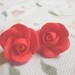 Auskarai- rožės