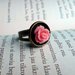 Labai mielas žiedas su rusvos spalvos rožyte