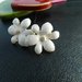 Baltos gėlės