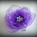 Gele plaukams violetine