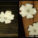 10Lt Žavios baltos gėlelės