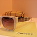 Burrbery wayfarer akiniai