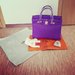 Nauja Hermes birkin rankine