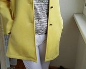 Stilingas pavasarinis paltukas- svarkas 