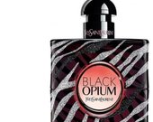black opium zebra