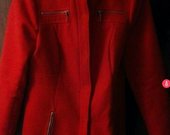 george raudonas paltukas