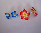 havajietiškų gėlių auskarai