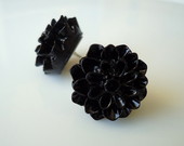 juodos gėlės