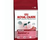 Royal canin šunų maistas