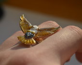 žiedas paukštis