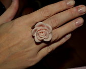 Mielas ruzavas ziedas roze