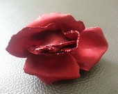 Segė (rožė)
