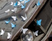 Mašinos papuošimas drugeliais