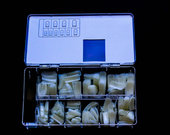 Tipsų dėžutė (SNC, 500x)