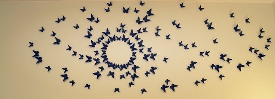 3D drugeliai ant sienos