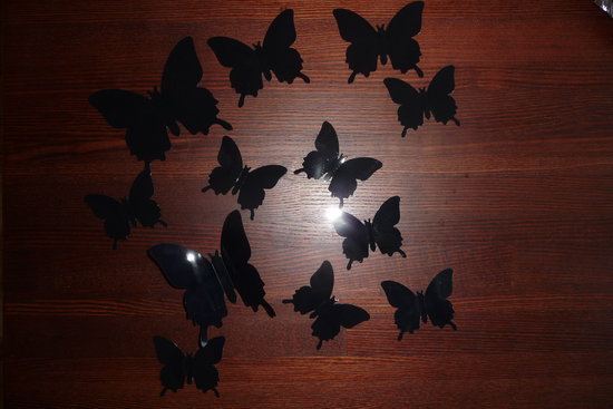 3D drugeliai