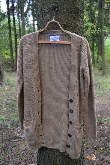 Šviesiai rudas megztinis