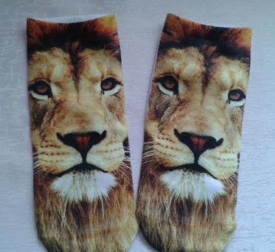 Trumpos kojinės su liūtais