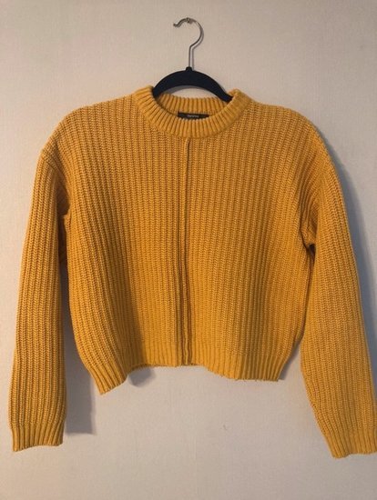 Trumpas megztinis