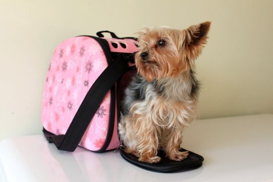 kelioninis krepšys šuniukui