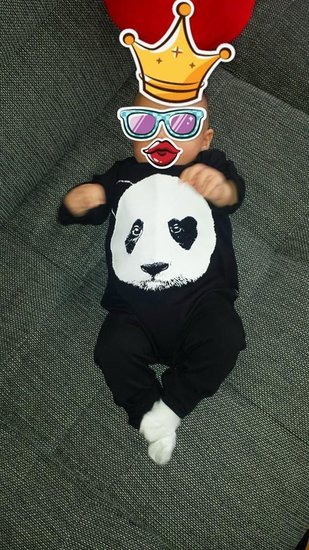 Lucky No. 7 panda, juodas