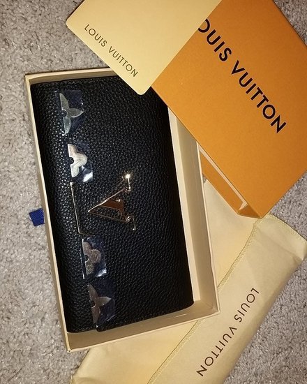 Louis Vuitton luxury pinigine
