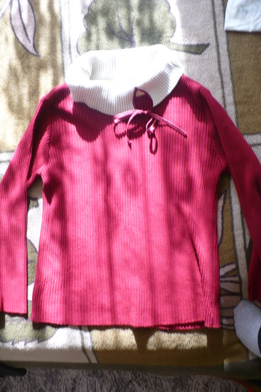 Dailus megztinis