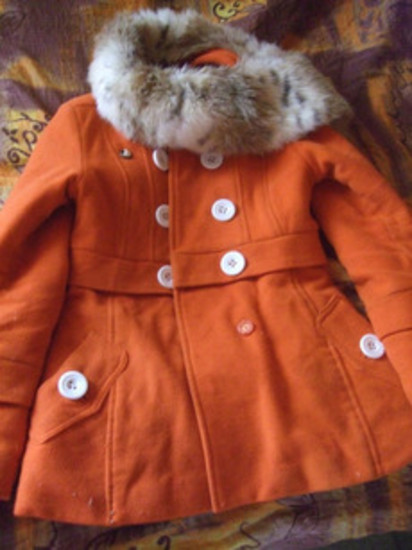 Oranžinis paltukas žiemai