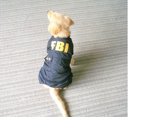 FBI striukytė šuniui
