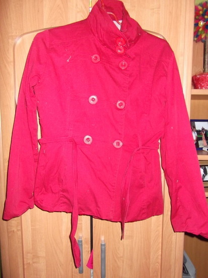 Raudonas paltukas (svarkelis)