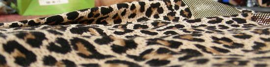 leopardinis sarafaniukas