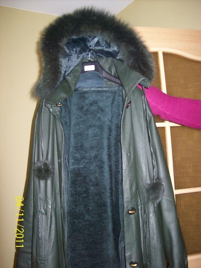 Odinis paltas
