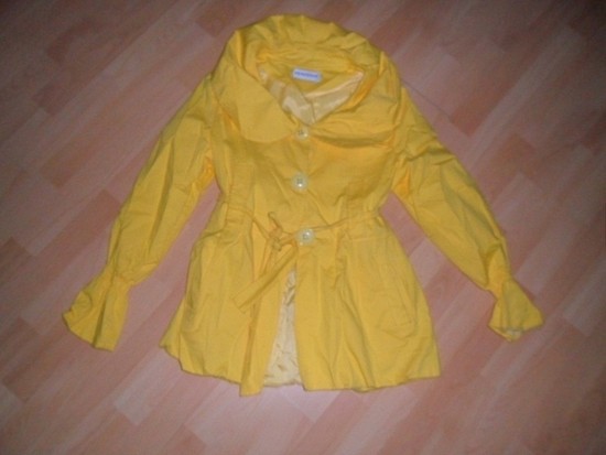 ryškiai geltonas paltukas