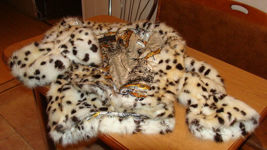 Ispudingi leopardiniai kailinukai