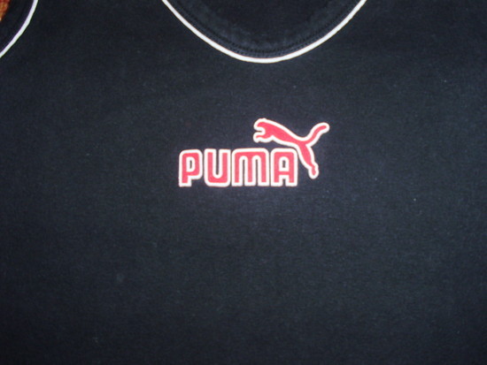 Puma maikutė