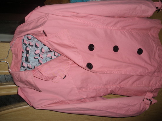 rozinis paltukas