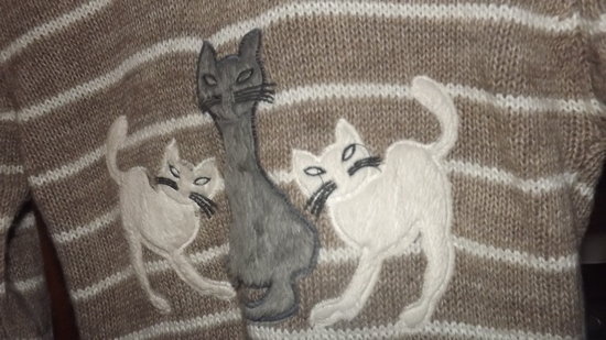 Megztinis Kitties