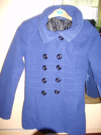 Pavasarinis mėlynas paltukas