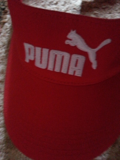 Puma snapelis